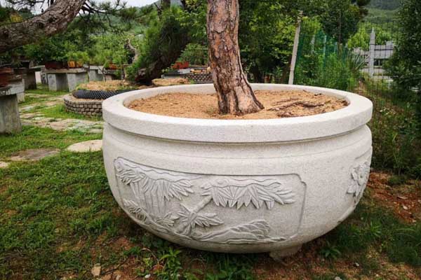 五蓮花路沿石廠家有哪些（五蓮花路邊石）